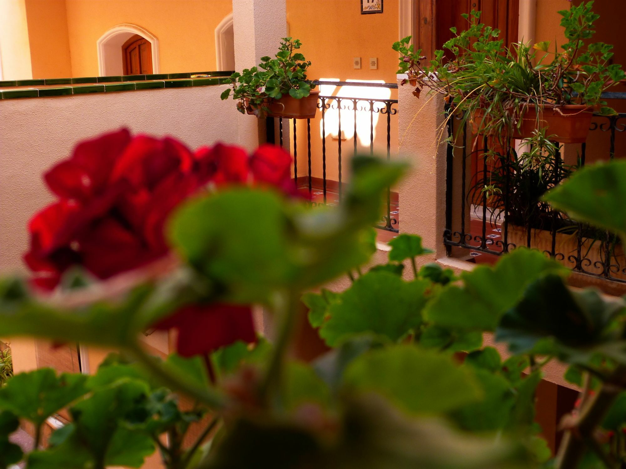 Shoal Apartamentos Orihuela Dış mekan fotoğraf